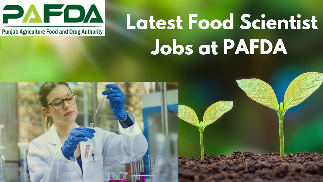 Food scientist jobs, Food packaging, Food packaging jobs, Contract base jobs in pakistan, jobs in pakistan, Food testing jobs, Food scientist jobs in pakistan for female, Food scientist jobs in pakistan salary